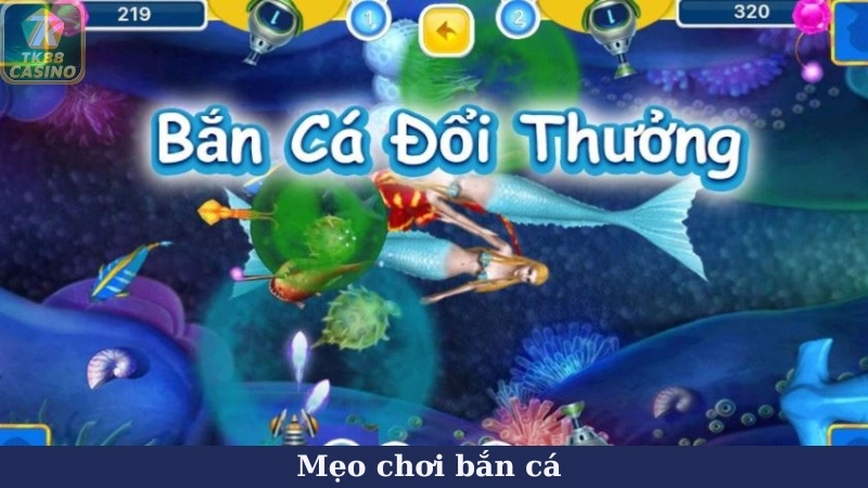 Khái niệm chung về mẹo chơi bắn cá